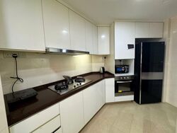 The Blossomvale (D21), Condominium #477287871